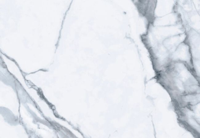 Midgley West Bianco Venatino Bianco Venatino Tile 24"x48" - Polished