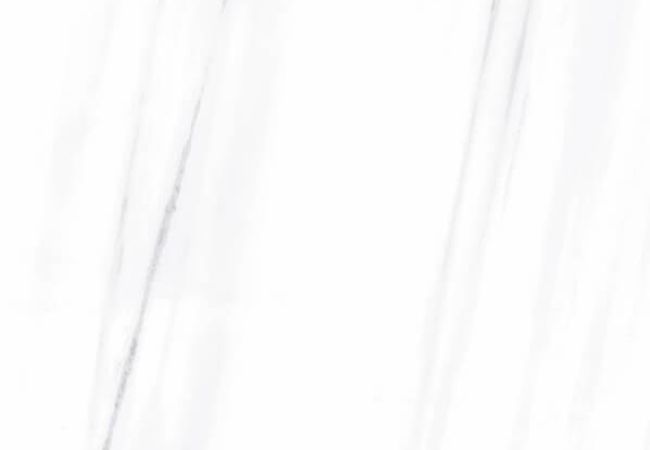 Midgley West Marbellous Dolomite Bianco Tile 24"x24" - Natural