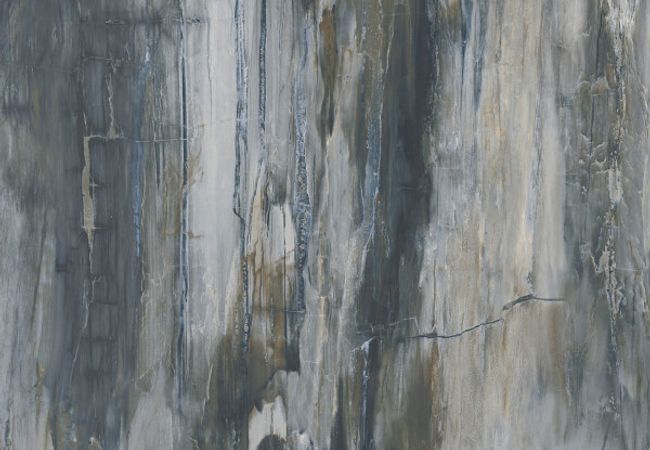 Midgley West Petrified Wood Blue Tile 12"x24" - Natural