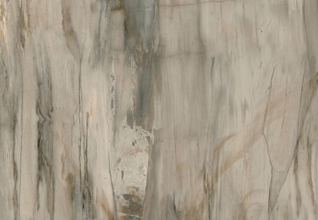 Midgley West Petrified Wood Natural Tile 12"x24" - Natural