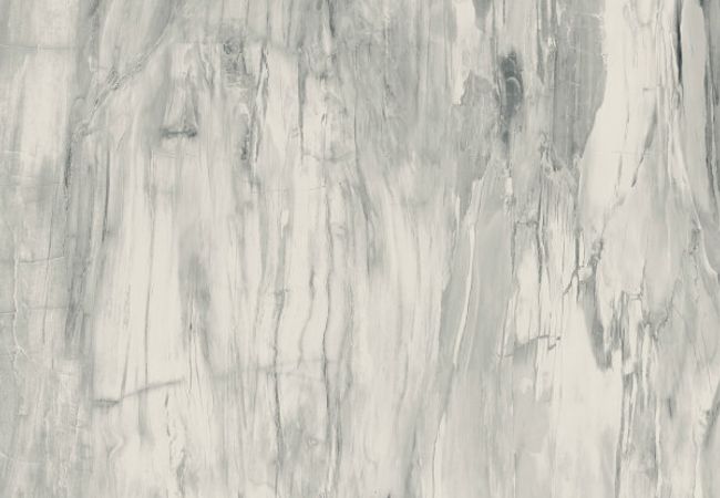 Midgley West Petrified Wood White Tile 12"x24" - Natural