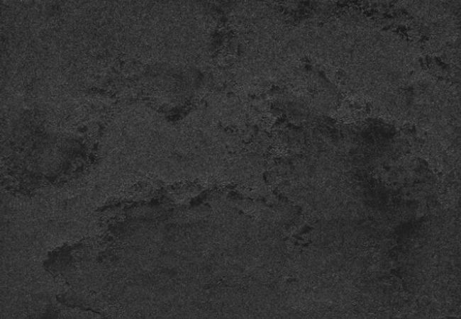 Midgley West Pietra Lavica Gryphea Tile 12"x24" - Lappato