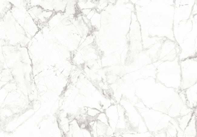 Neshada Tile Attivo White Polished Porcelain Tile 32x64