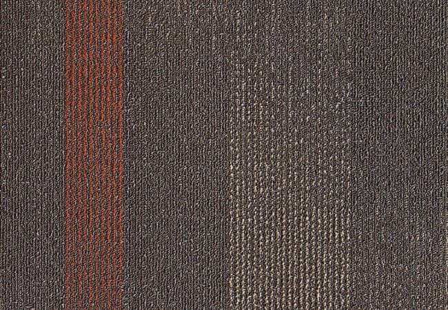 Next Floor Continuum Carpet Tiles Muir Woods