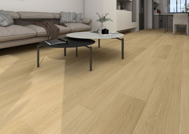 Oakel City Destiny Aqua Expert Monet Laminate Flooring view 2