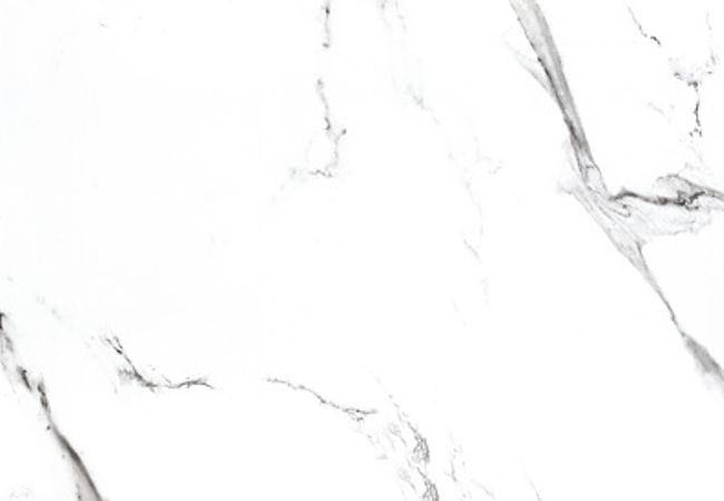 Olympia Carrara X Matte and Polished Porcelain Tile Color: White Size: 24x48, 24x24, 12x24 view 2