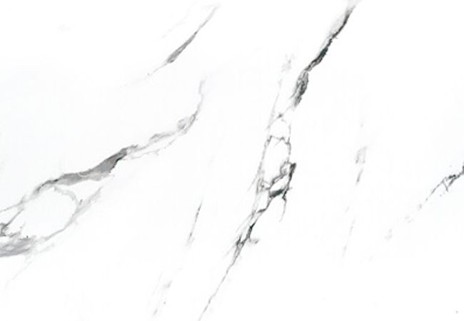 Olympia Carrara X Matte and Polished Porcelain Tile Color: White Size: 24x48, 24x24, 12x24 view 4