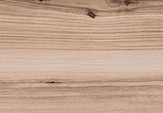 Olympia Koru Matte Porcelain Tiles Color: Apple, Apricot, Nut, Peach Size: 8x48 view 4