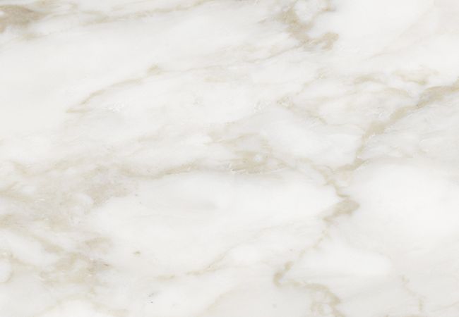 Richmond Tile Raffino Calacatta Dolce 12"x36" Matte