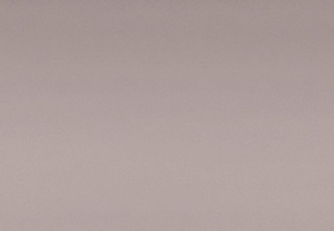 Richmond Tile Teramoda Petal 3"x12"