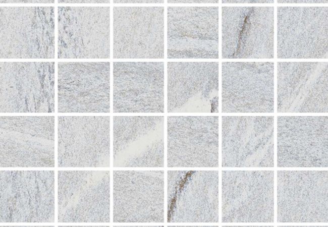 Richmond Tile Urban 2.0 Lava Grey 12x12 Mosaic Honed Rectified