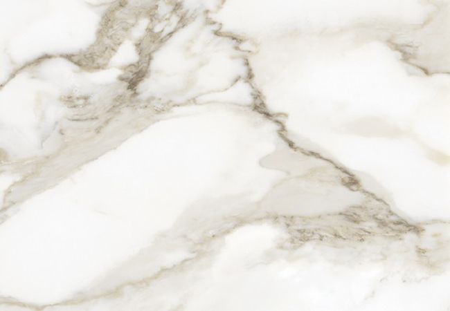 Richmond Tile Valencia Calacatta Paonazzo 24"x24" Polished