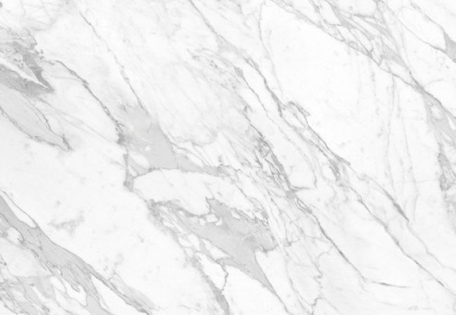 Richmond Tile Valencia Statuarietto 24"x48" Honed