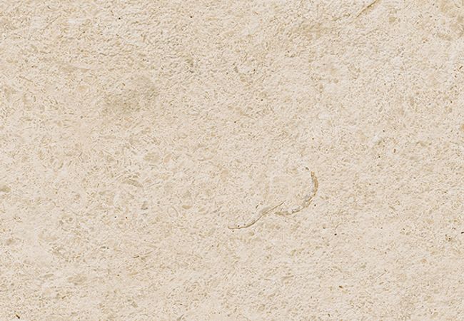 Richmond Tile Carácter | Porcelain Tile Series
