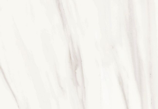 Richmond Tile Carrara Select Venato 12x24 Honed Rectified