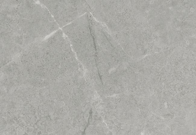 Richmond Tile Torin Argento 12"x24" Matte