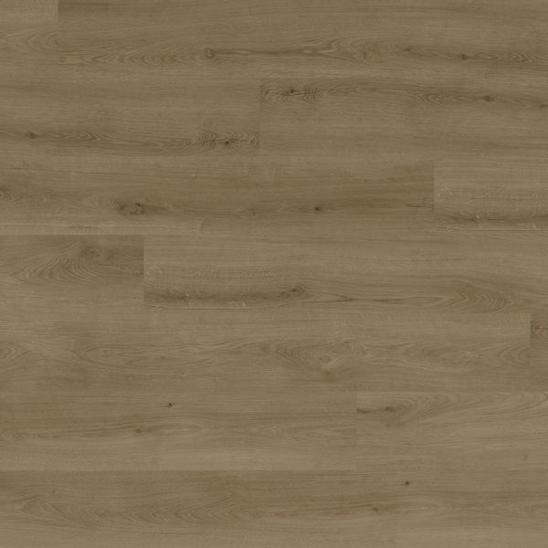 Richmond Premium Eternal Woodland Oak Luxury Vinyl Plank
