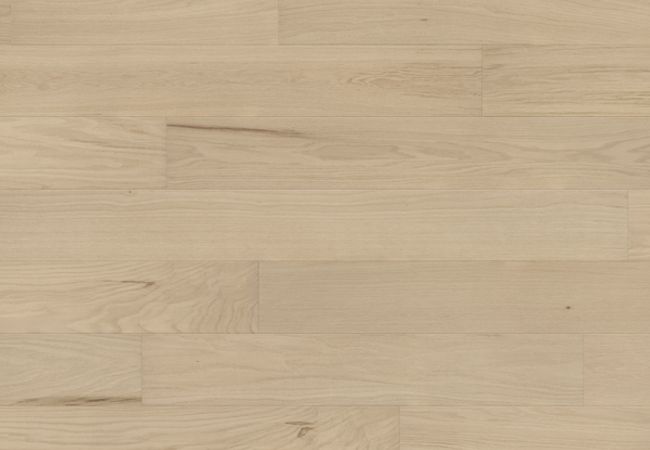 Richmond Oak Engineered Shoreline Berkeley