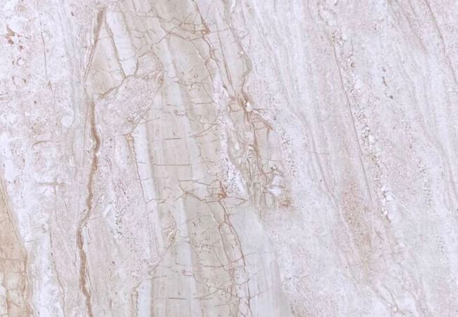 Sidco Eramosa Antic 12x24 Porcelain Tile