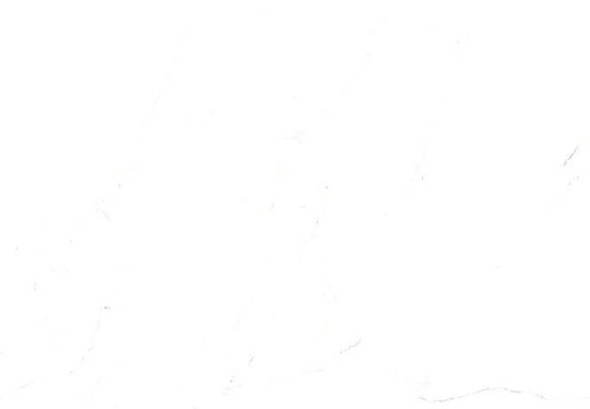 Sidco Euro White 12x24 Porcelain Tile