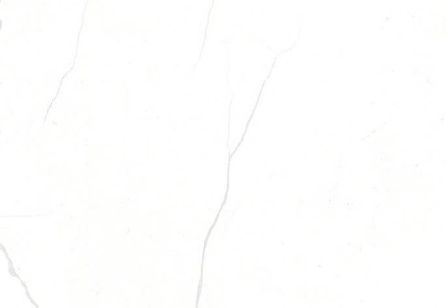 Sidco 24x48 Porcelain Tile Glory White