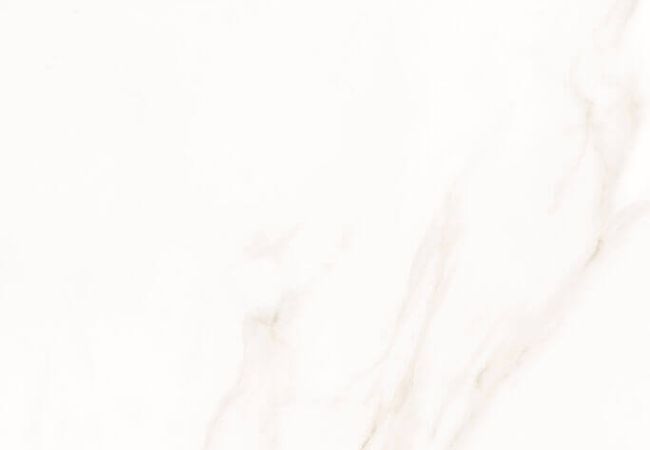 Sidco 24x48 Porcelain Tile Greek White