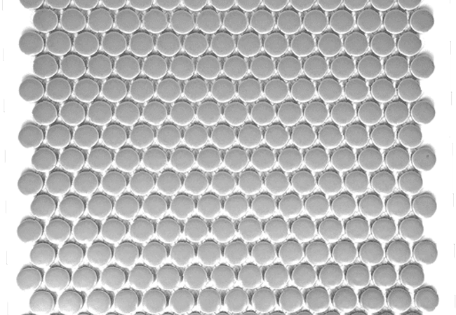 Sarana Tile Mosaics MH Penny MHPENN P011