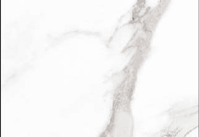 Sarana Tile Aurora G60120pol