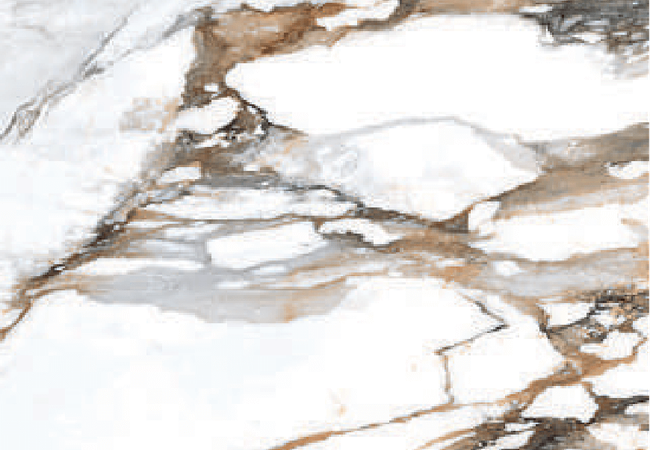 Sarana Tile Ek Gold Calacatta Ekgold 120120po