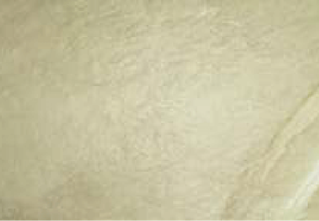 Sarana Tile Fitch Fawn51