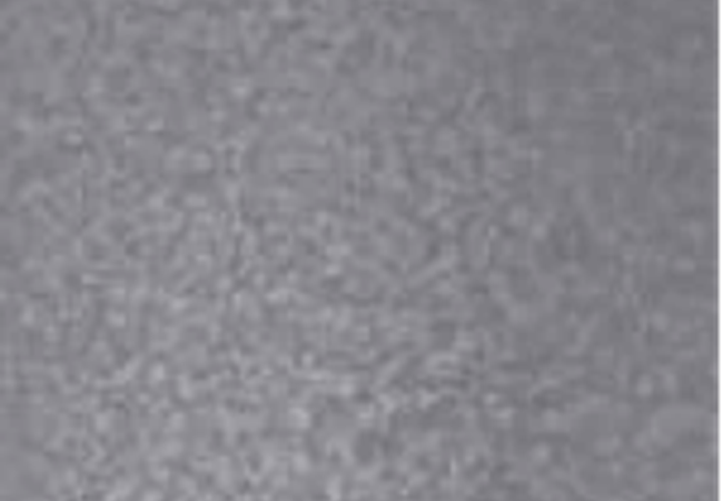 Sarana Tile Flow Smoke7ma