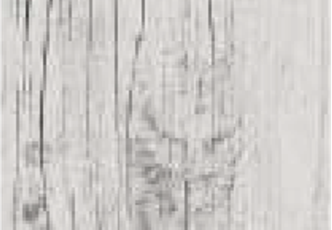 Sarana Tile Nav Wood Navwo Bogris