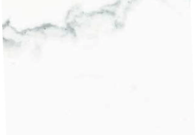 Sarana Tile Pris Calacatta Prisca 6060