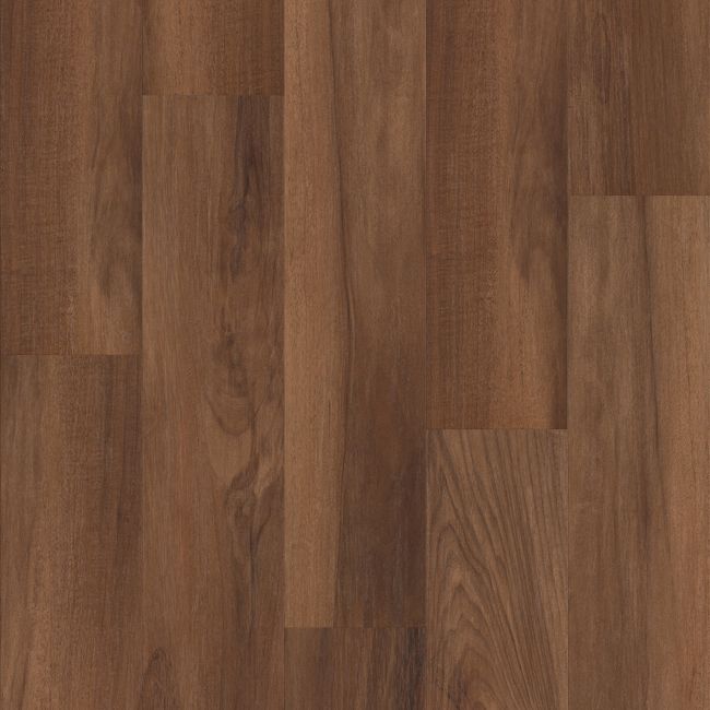 Shaw Endura Plus Amber Oak Luxury Vinyl Plank