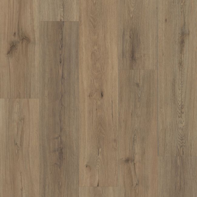Shaw Endura Plus Wild Dunes Luxury Vinyl Plank