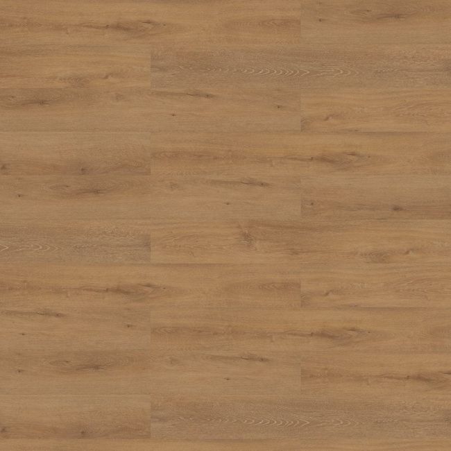 Shaw Noble Roots Elm Luxury Vinyl Plank