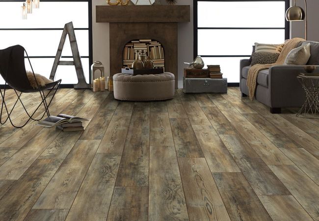 Pantheon HD Plus 2001V