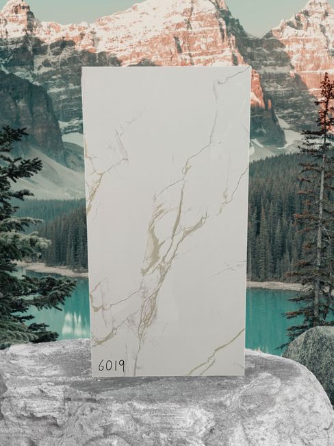 6019 12x24 Porcelain TIle