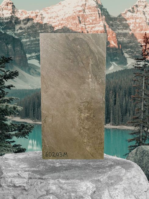 60203M 12x24 Porcelain TIle