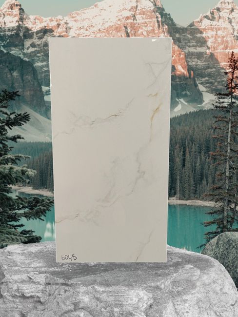 6048 12x24 Porcelain TIle