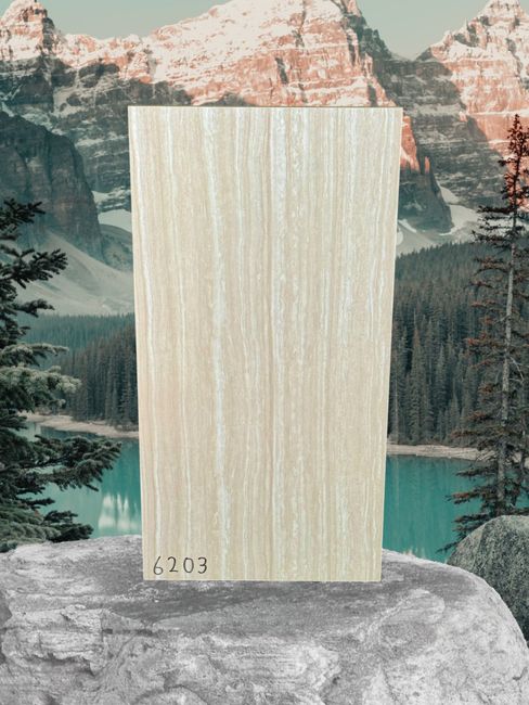 6203 12x24 Porcelain TIle