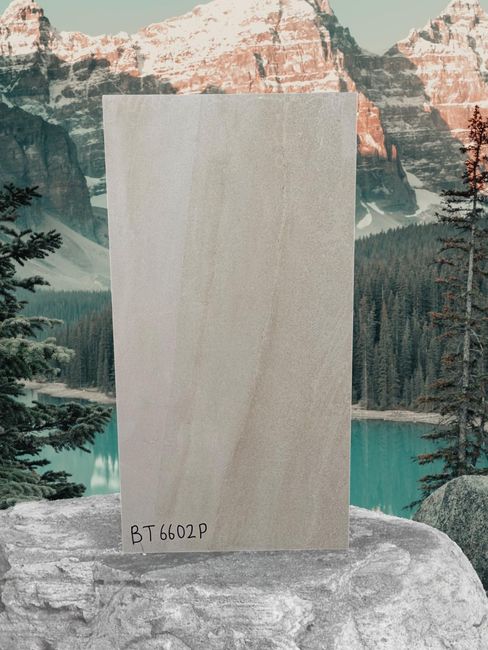 BT6602P 12x24 Porcelain TIle