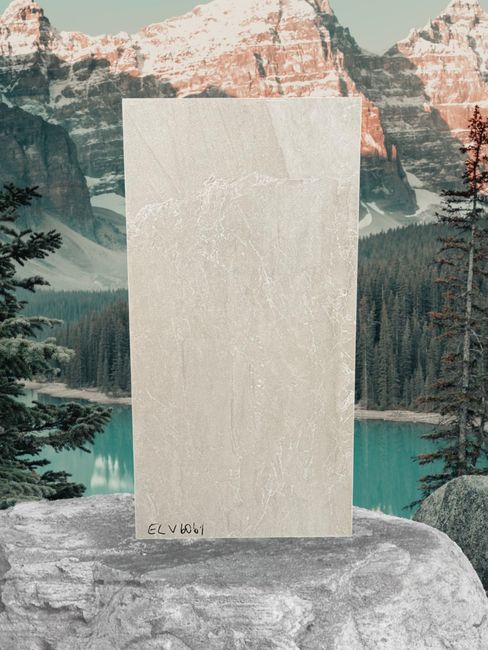 ELV6061 12x24 Porcelain TIle