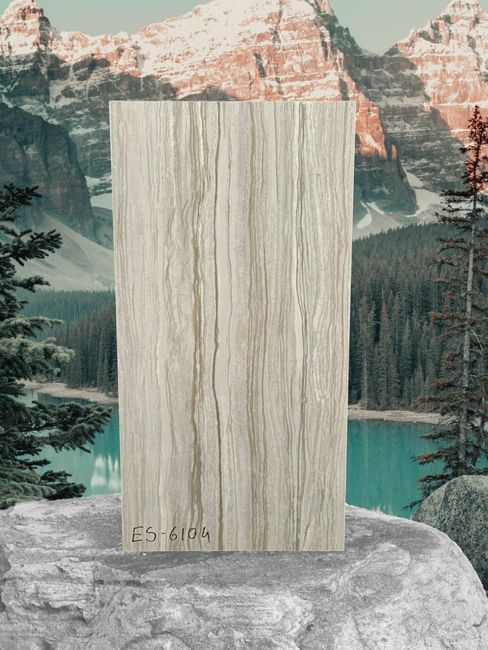 ES61042 12x24 Porcelain TIle