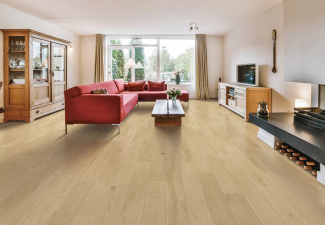 Toucan Towne European Oak TCN202 - Shell view 3