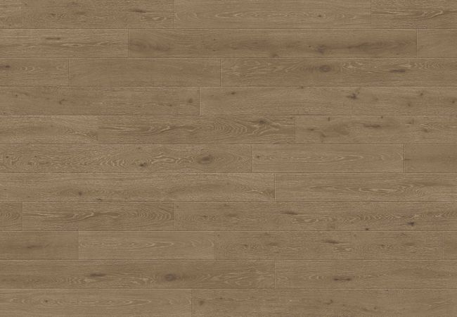 Toucan Towne European Oak TCN204 - Hazelnut view 3