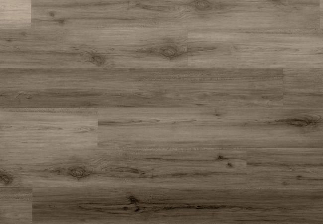 Twelve Oaks Foundation 2520 Lost Canyon Luxury Vinyl Plank