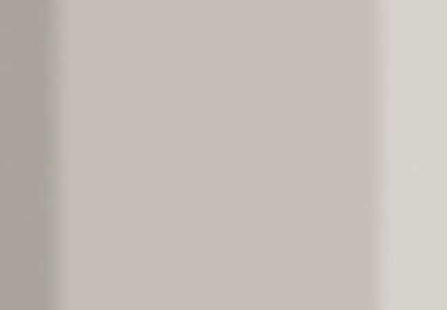 Urban Zebra Matte Brick Art Porcelain Tile White