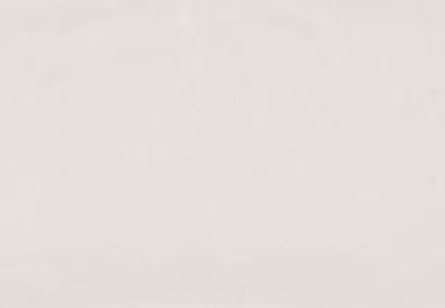 Urban Zebra Slide Porcelain Tile White