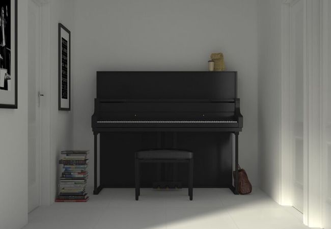 Urban Zebra Porcelain Tile Dark Look view 2